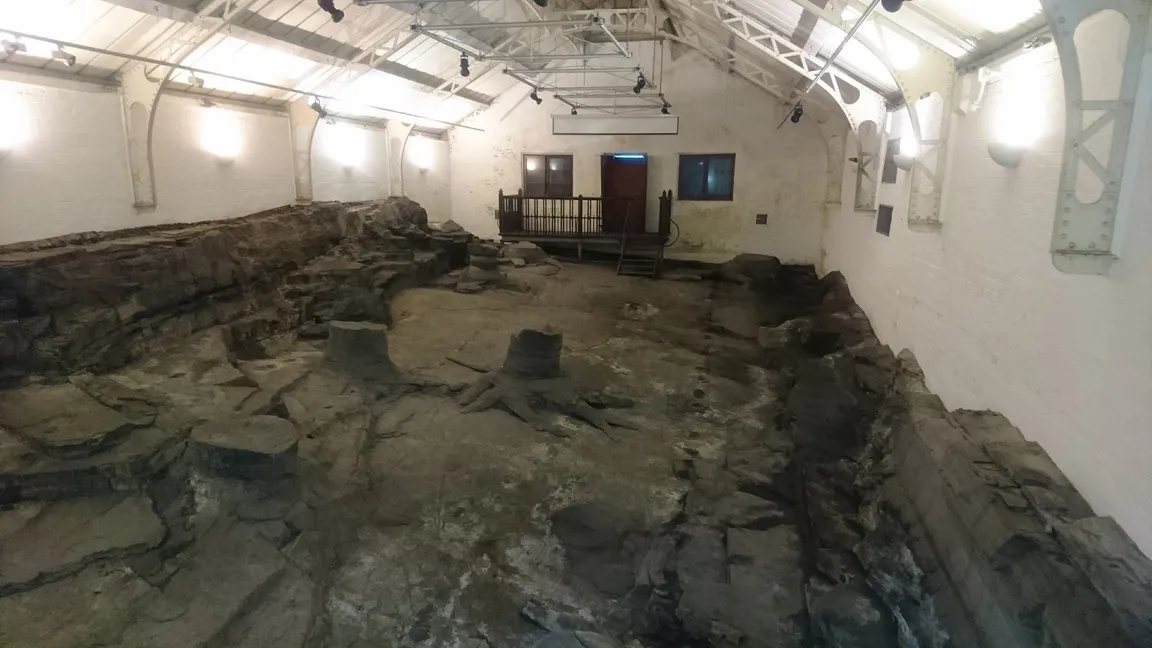 Fossil Grove