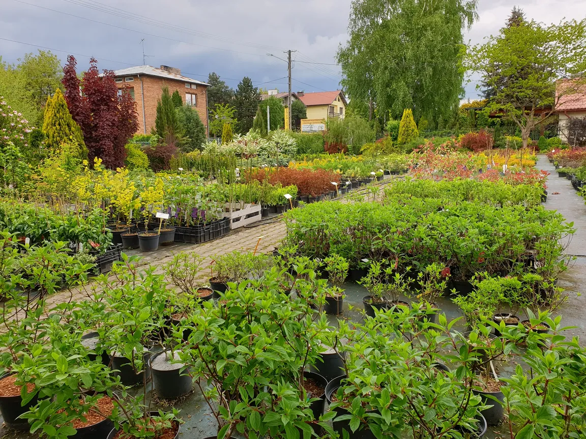 Gardenpark Szkółka Drzew i Krzewów Ozdobnych