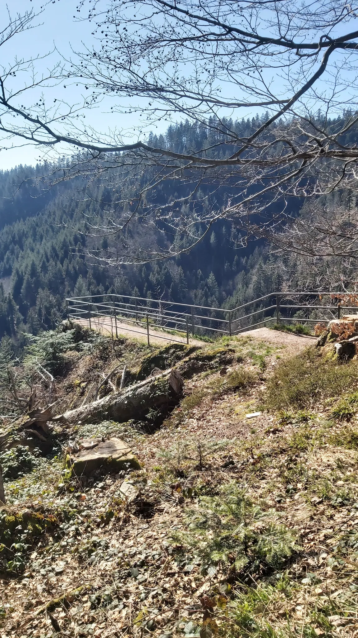 Aussichtsplattform Studentenfelsen