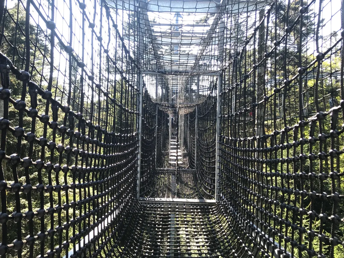 Waldwelt Skywalk Allgäu