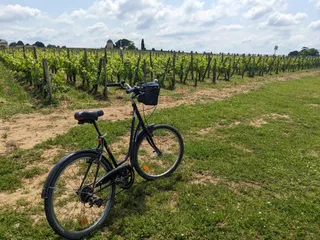 Les Bicyclettes de Saint-Emilion