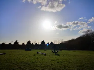 Four Paws Dog Park