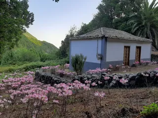 Sendero El Cedro