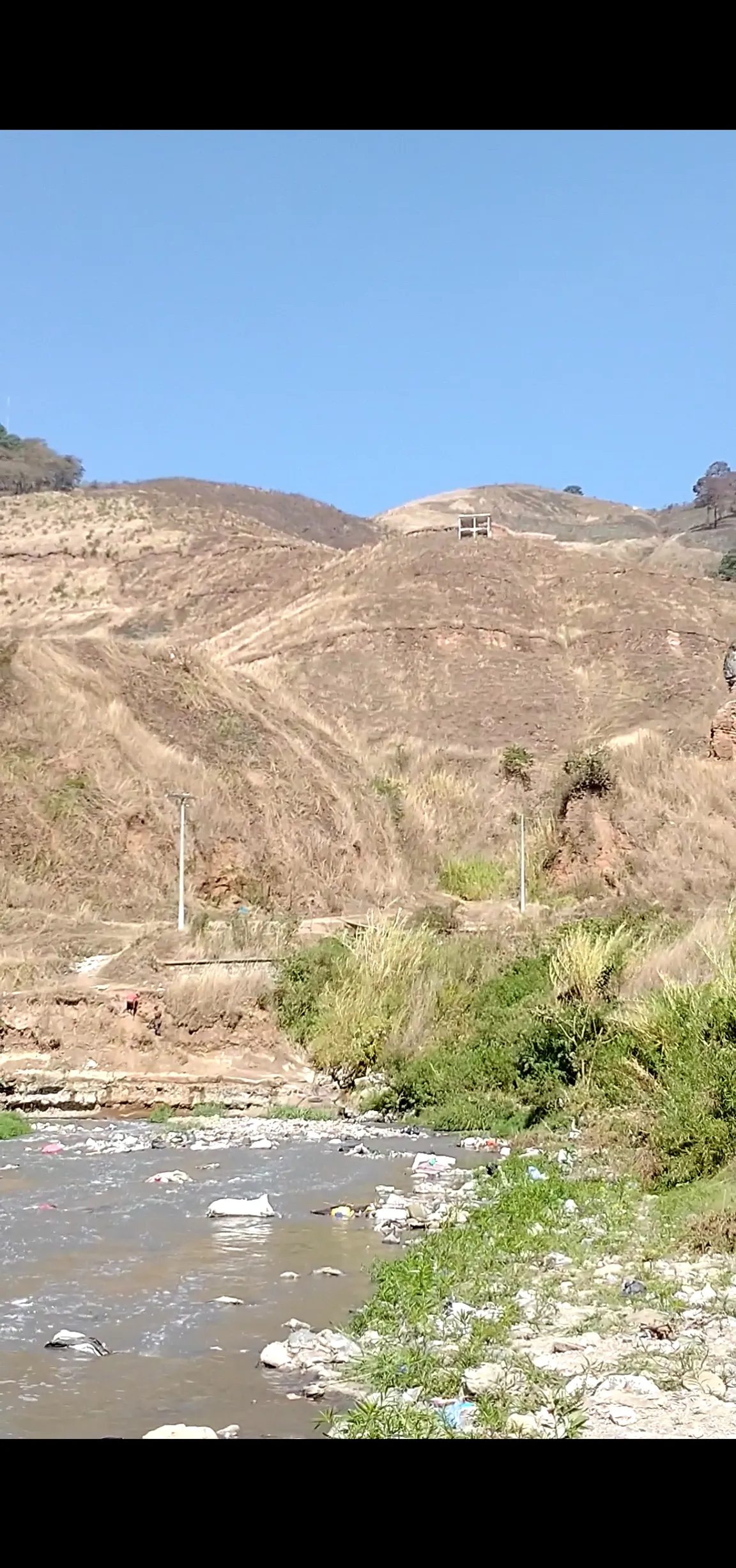 Río negro / las vacas