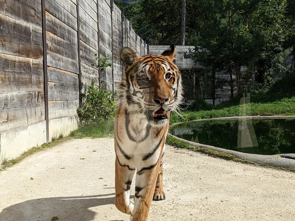 ZOO Siky Ranch, Christophe Keller