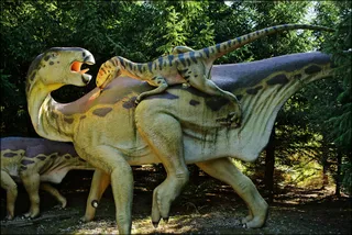 Tier-, Freizeit- und Saurierpark Germendorf