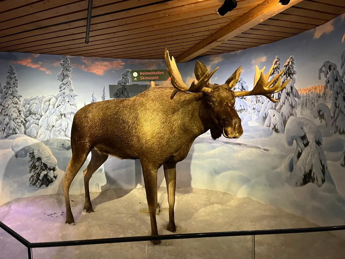 Muzeum Narciarstwa w Oslo