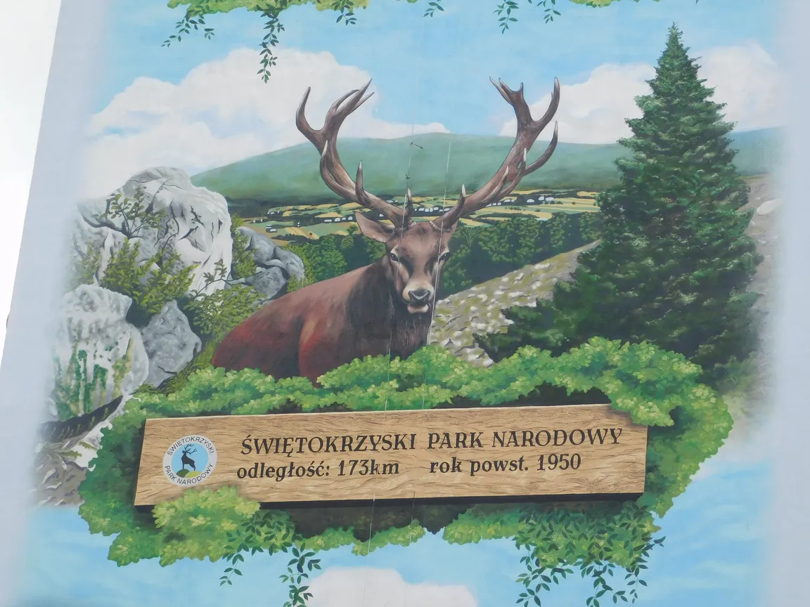 mural polskie parki narodowe