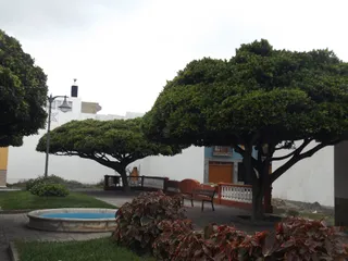 Park