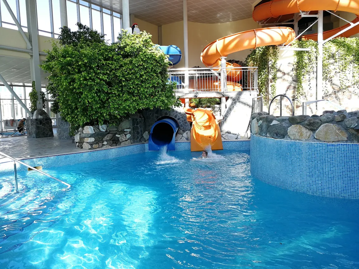 Aquatic Paradise