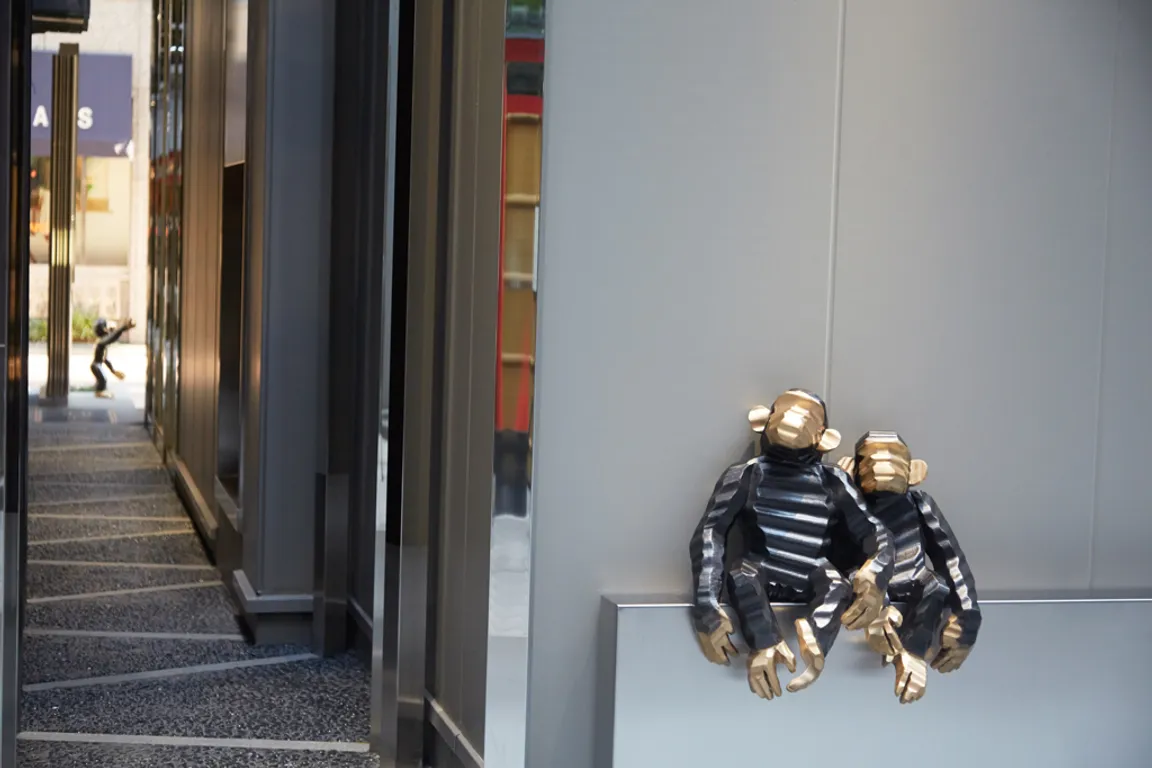 Chimpanzee Approach