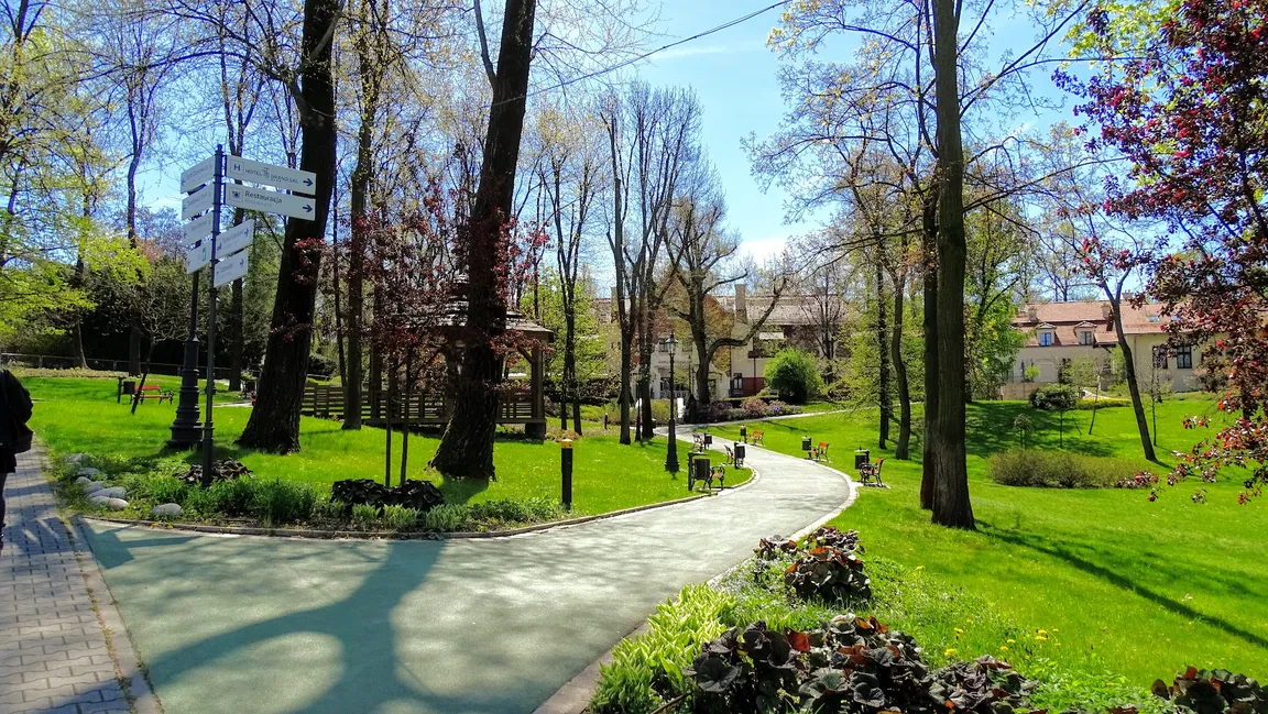 Park św. Kingi
