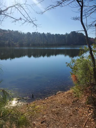 Sandy Bottom Nature Park