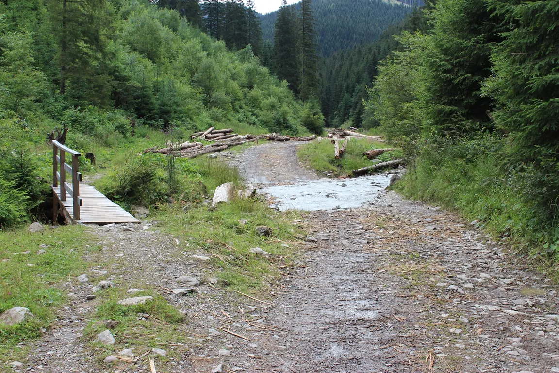 Dolina Lejowa