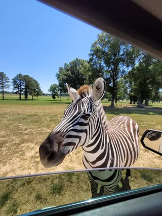 Safari Wild Animal Park