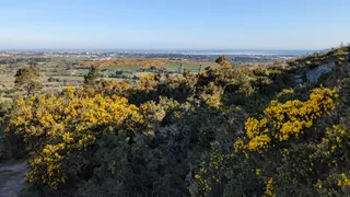 Carrickgollogan Forest Trail