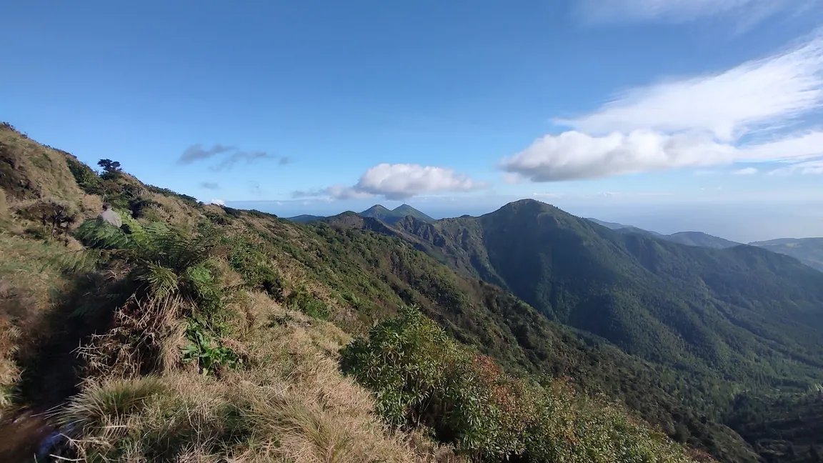 Reserva Natural do Pico da Vara