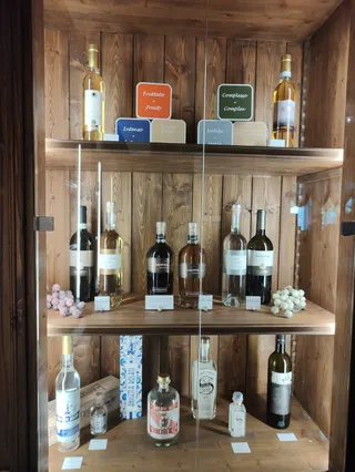 Casa Vinicola Gioacchino Garofoli