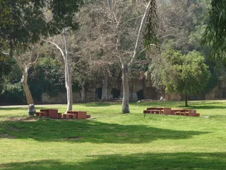 Old LA Zoo Picnic Area