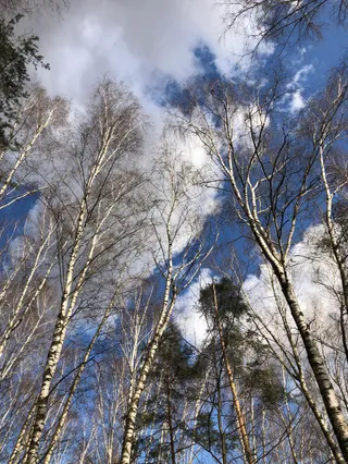 Kosinski Nature and History Park