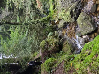 Puck's Glen