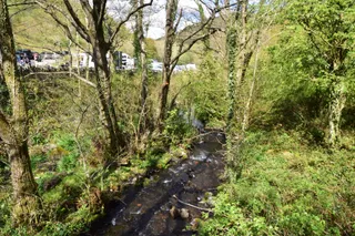 Cwmcarn Forest