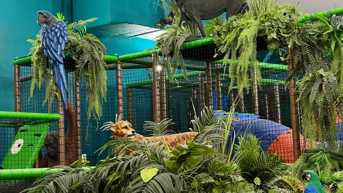 JUNGLE ACADEMY,