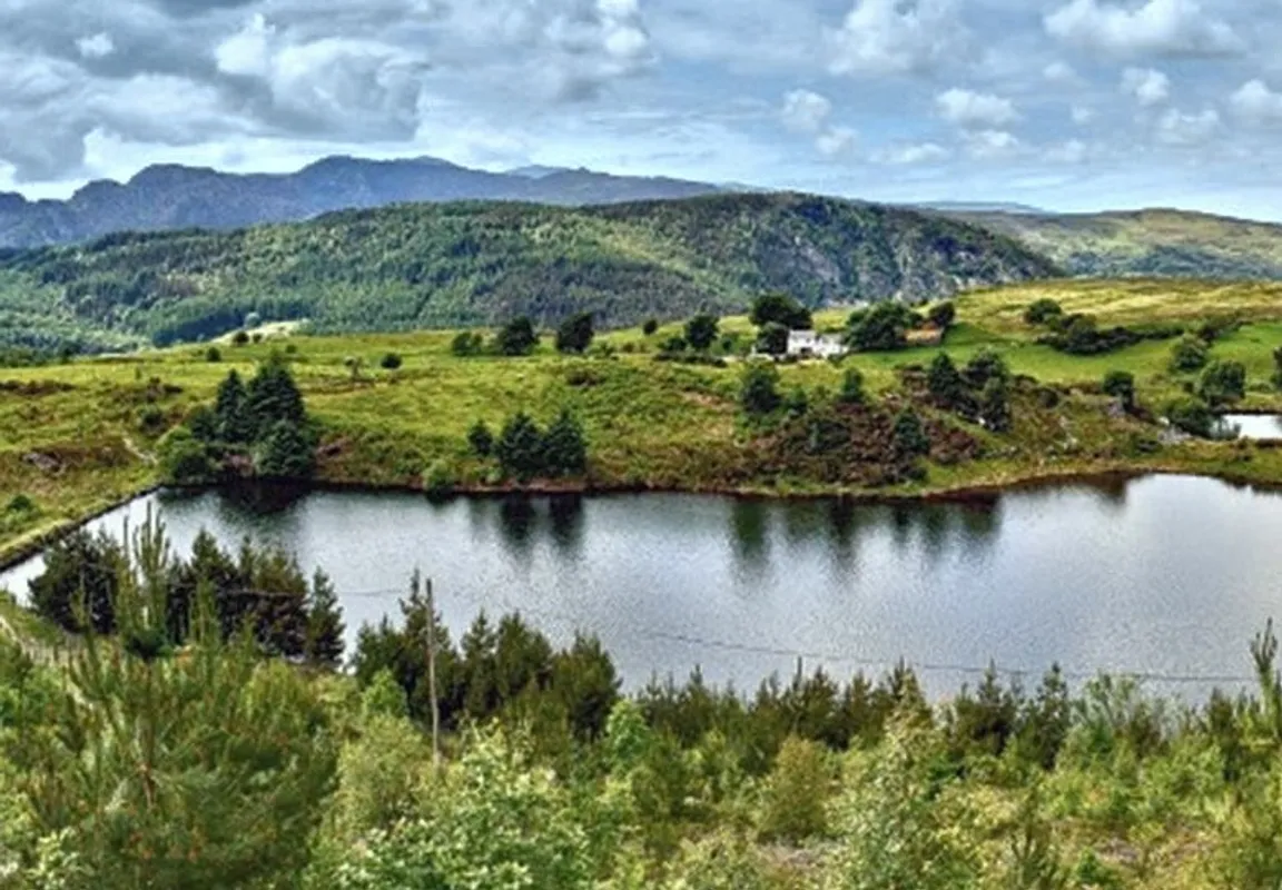 Gwydir Forest Park