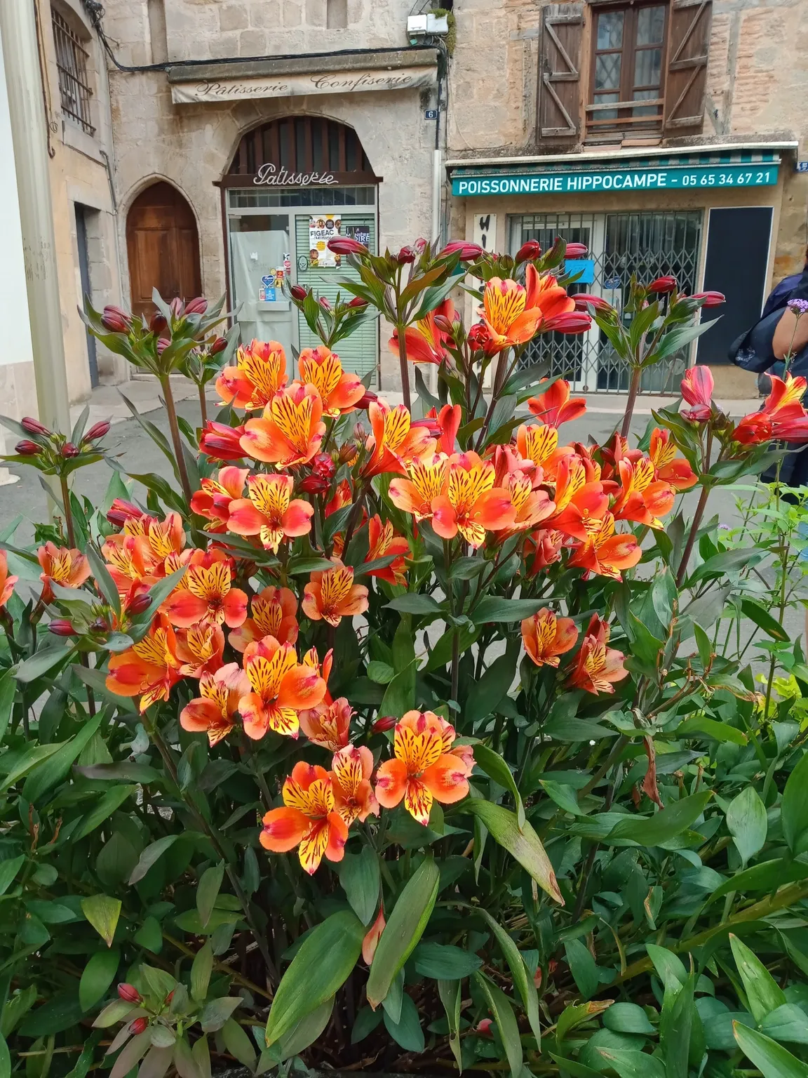 Place de la Halle