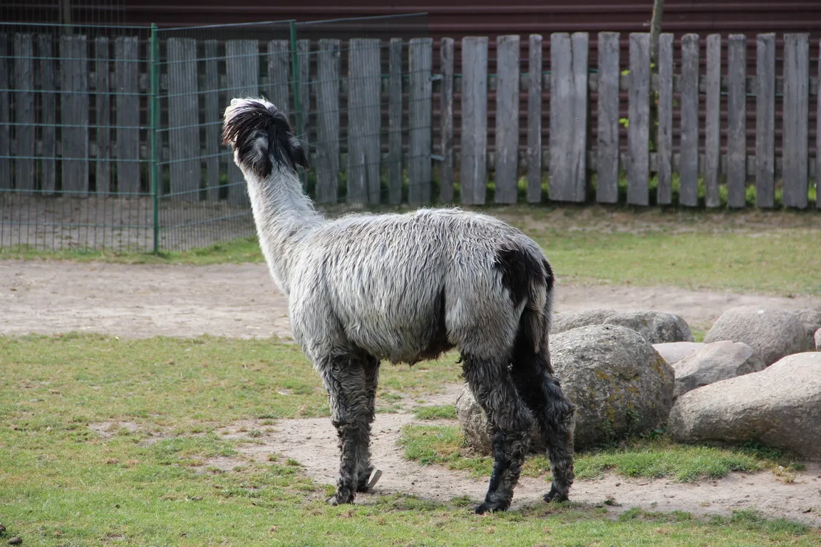 Zoo Wojciechów
