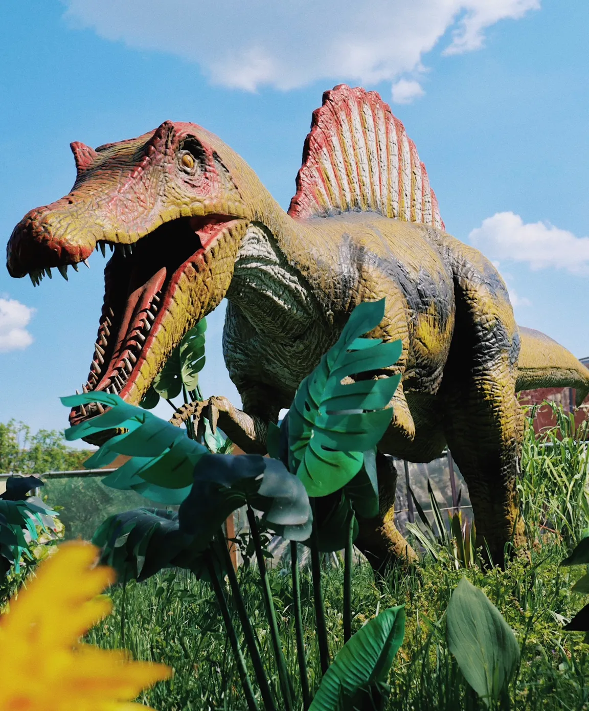 DÍNÓ PARK “CAMPONA”