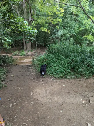BGGS Dog Off Leash Area