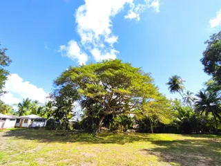 CIVS San Felipe Bacalar