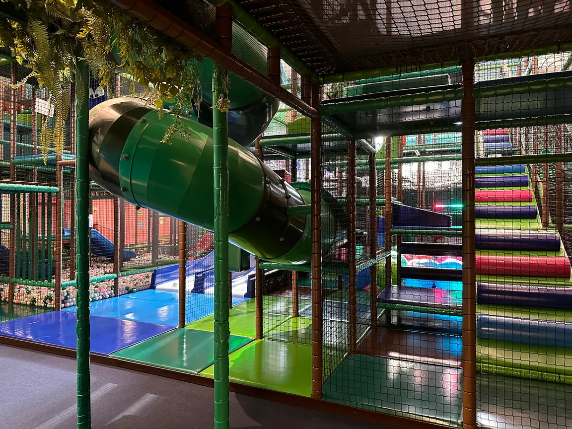 JUNGLE ACADEMY,