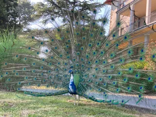 Park Vrtnic OB Valdoltra