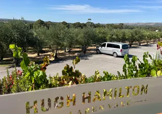 Wine Diva Tours