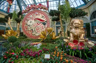 Bellagio Conservatory & Botanical Gardens
