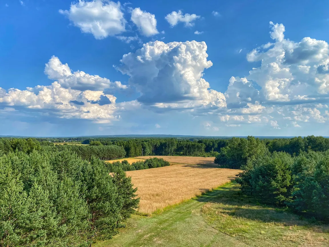 Kasztelik Korona Podlasia