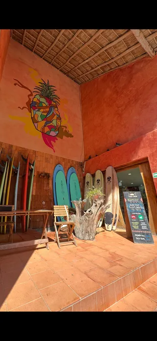 Surf and Tacos Sayulita
