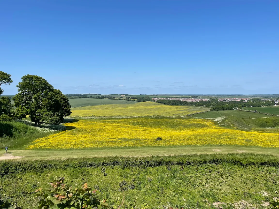 Old Sarum