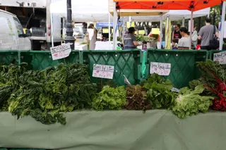 Tribeca Greenmarket
