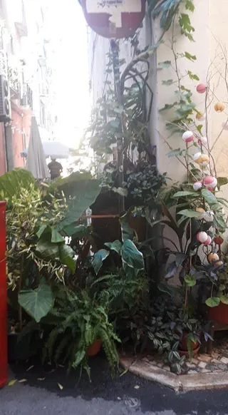 Rua Verde