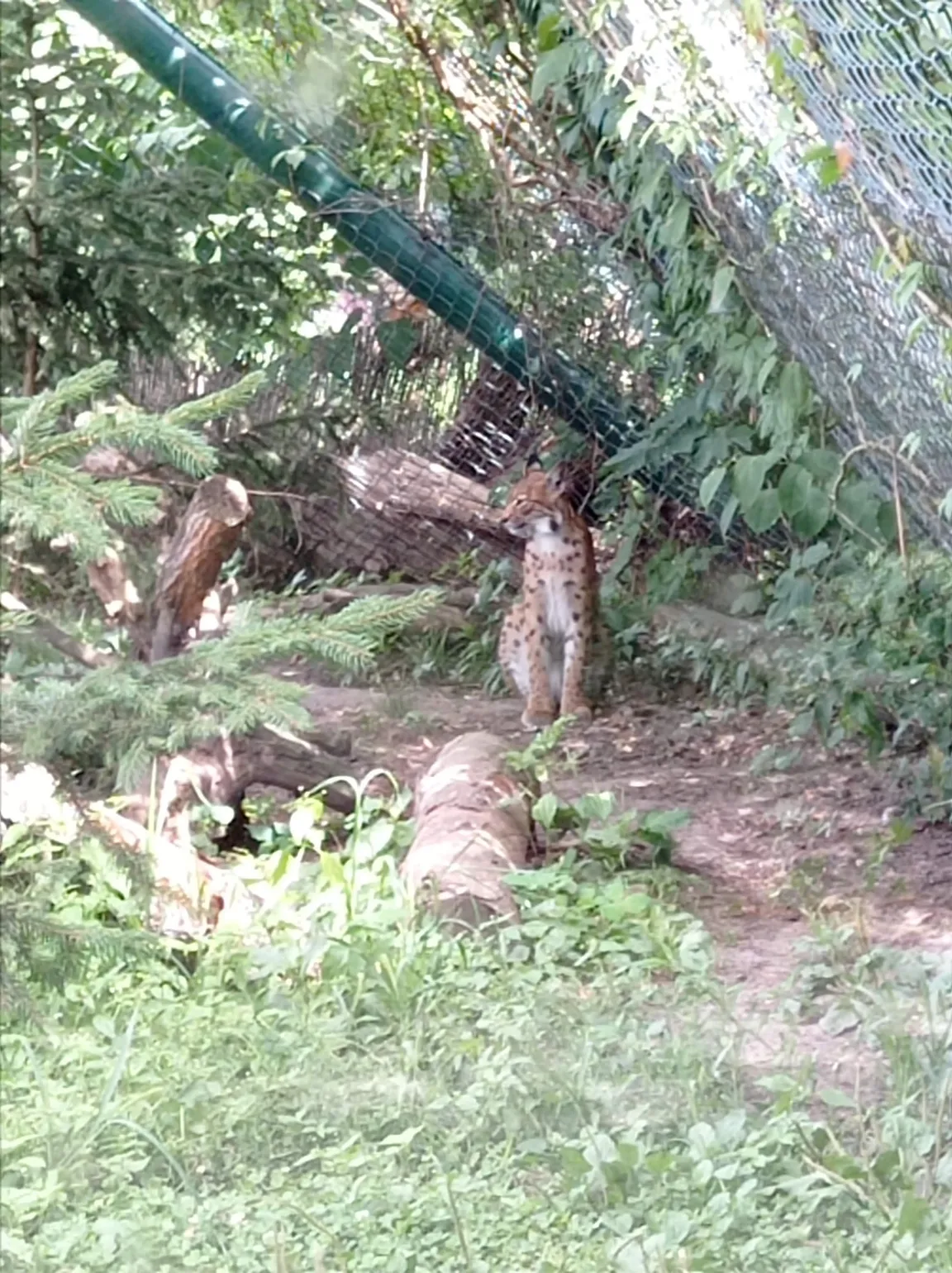 Ogród Zoobotaniczny w Toruniu