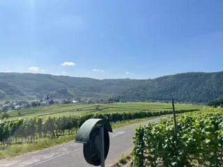 Weinlehrpfad Ellenz-Poltersdorf