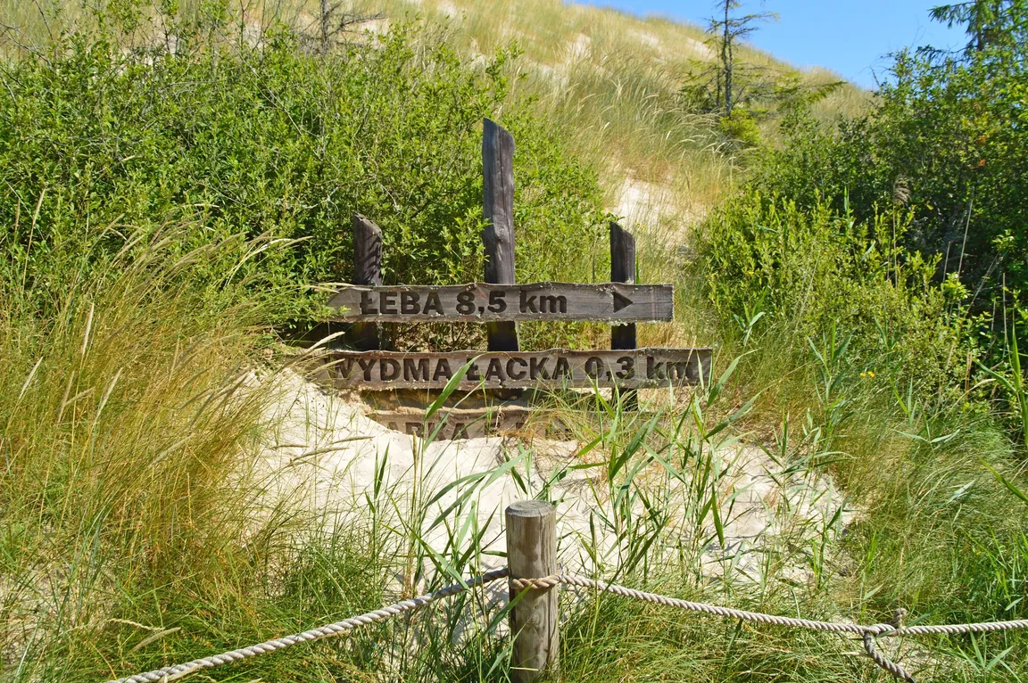 Wydma Łącka