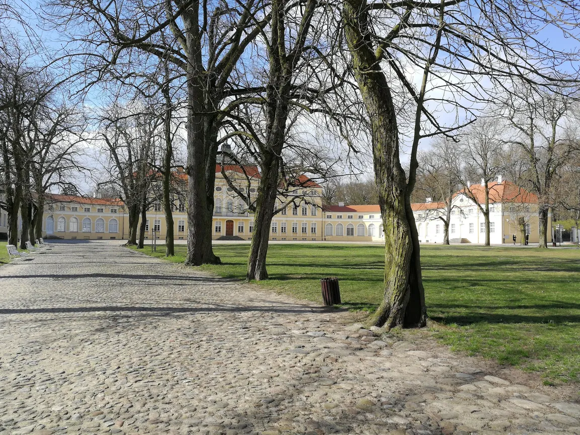 Park pałacowy w Rogalinie