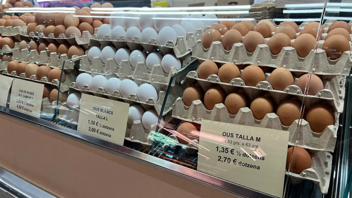 Mercat de Santa Caterina