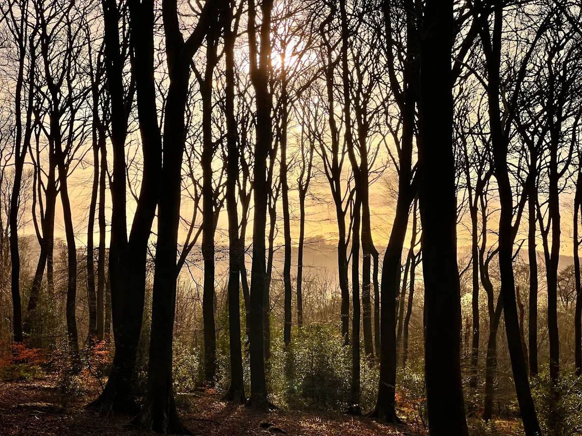 National Trust - Watlington Hill
