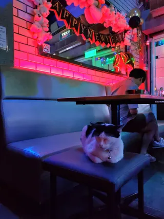 Connections Bar Bangkok