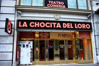 La Chocita Del Loro